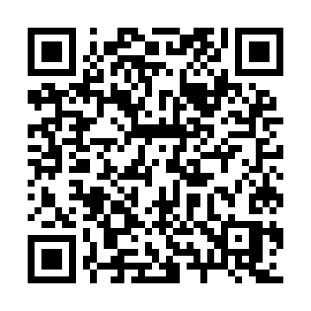 QR code for 295IKS