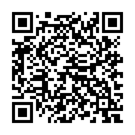QR code for 295JKK