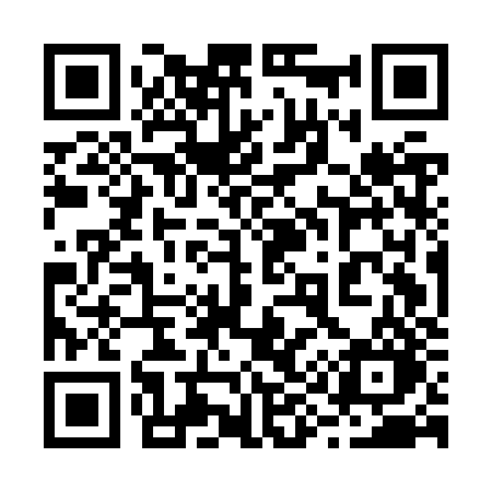 QR code for 295JZO