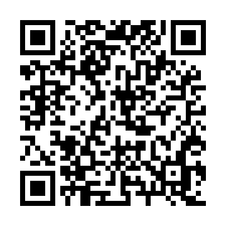 QR code for 295MDN