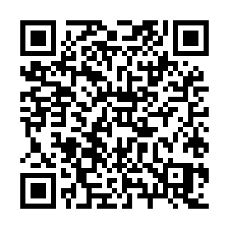 QR code for 295MHQ