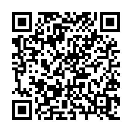 QR code for 295MIF