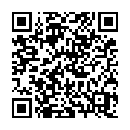 QR code for 295OBT