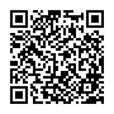 QR code for 295QLN