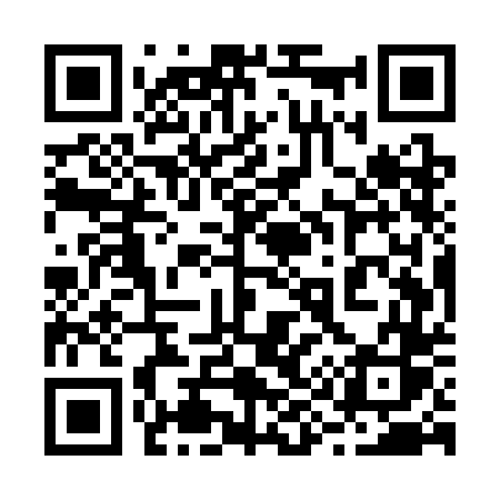 QR code for 295SDS
