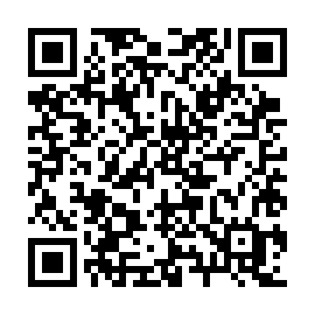 QR code for 295SHG