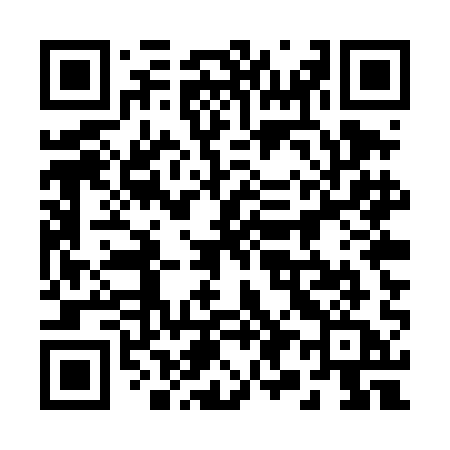 QR code for 295TAA