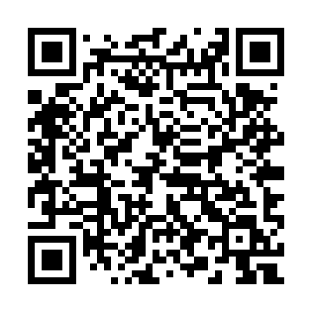 QR code for 295TYL