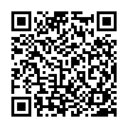 QR code for 295XSL