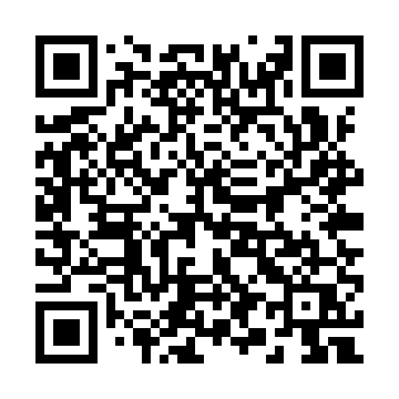 QR code for 295YUQ