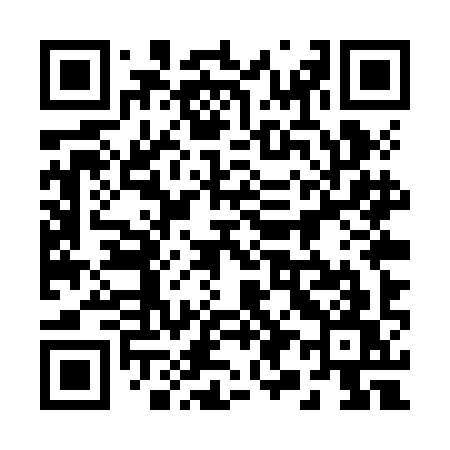 QR code for 295ZIW