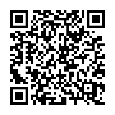 QR code for 297VDU