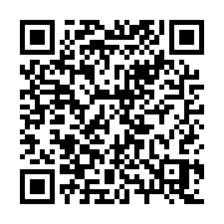 QR code for 299ASS