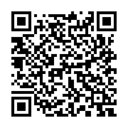 QR code for 300IZH