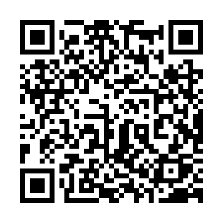 QR code for 300SSP