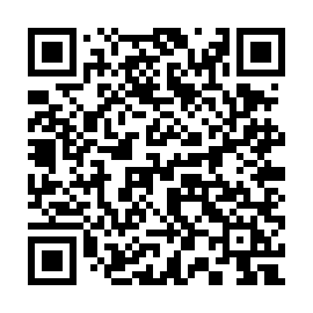 QR code for 300TLH
