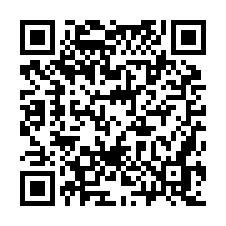 QR code for 300ZON