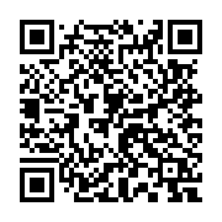 QR code for 302MPP