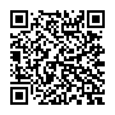 QR code for 305TDF