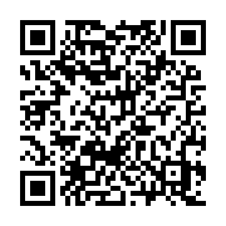 QR code for 306IRZ