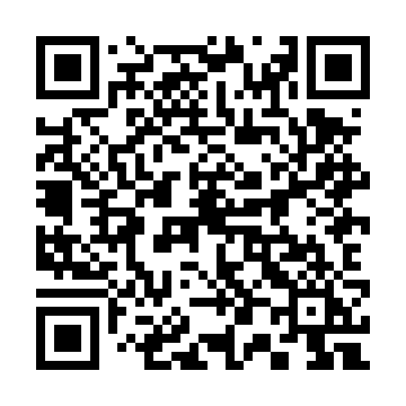 QR code for 308DZI