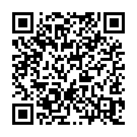 QR code for 309MIC