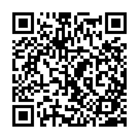 QR code for 310MMO