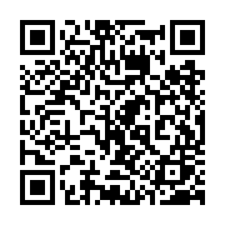 QR code for 311GOS