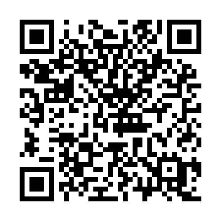 QR code for 311ICE