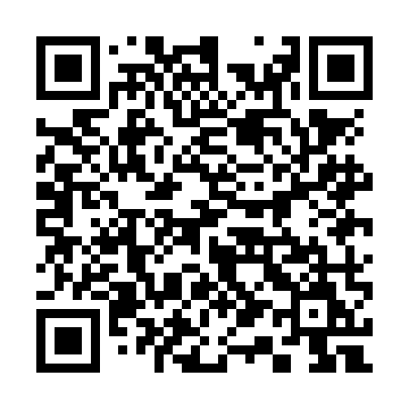 QR code for 311NMM