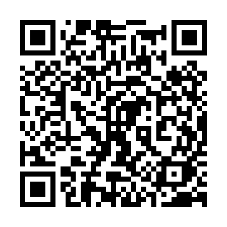 QR code for 311PUK