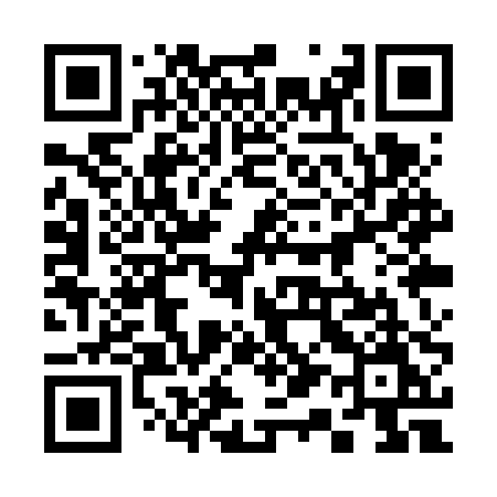 QR code for 311VPM