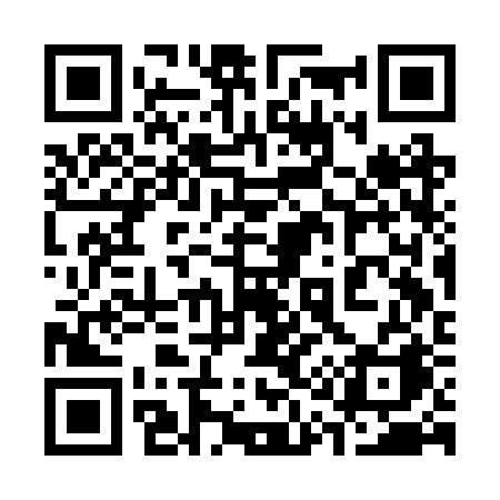QR code for 313BRA