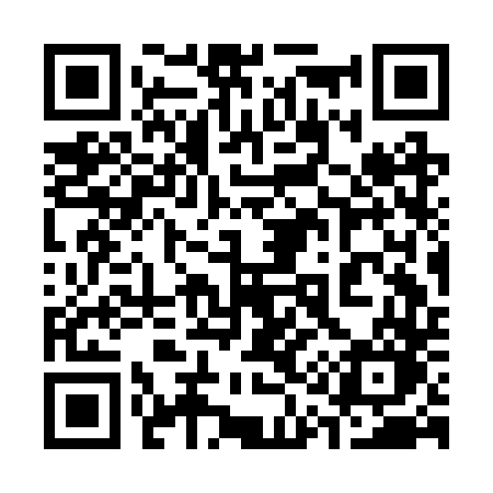 QR code for 313BTO