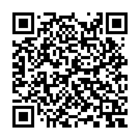 QR code for 313BZP