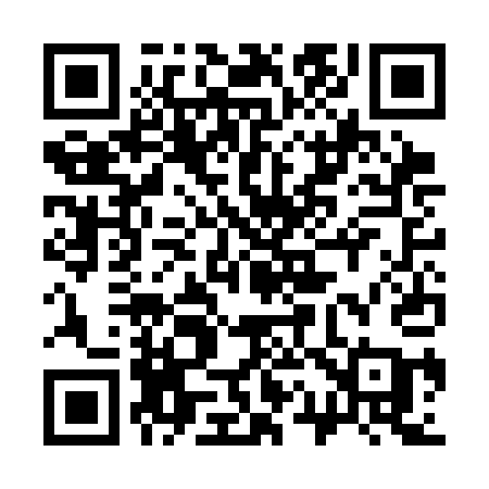 QR code for 313CAA