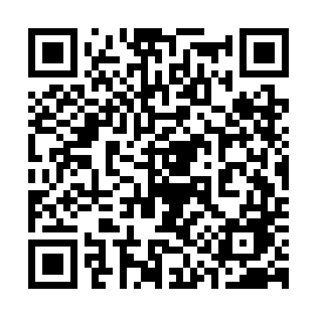 QR code for 313CDE