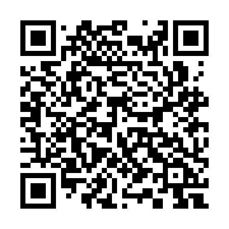 QR code for 313CHF