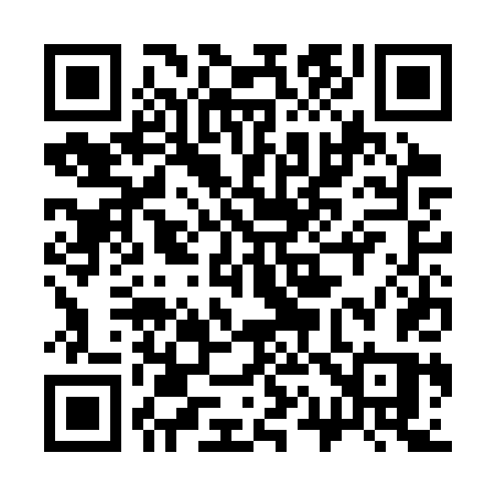 QR code for 313CTS