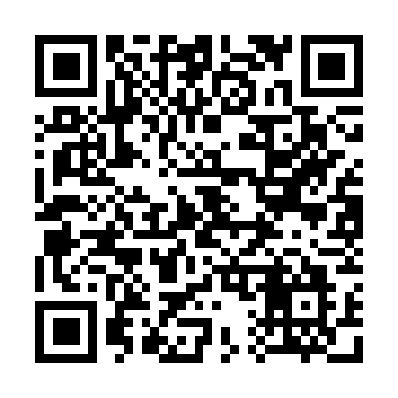 QR code for 313CWO