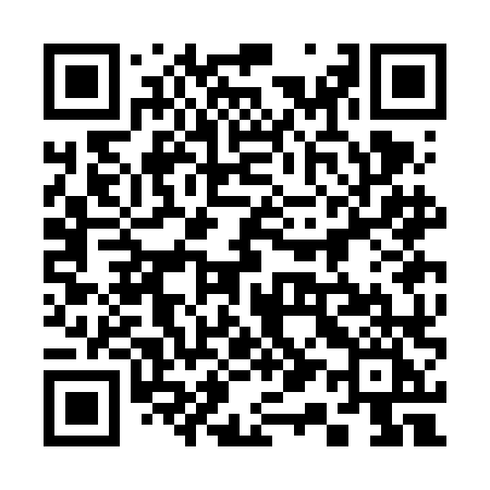 QR code for 313FLI