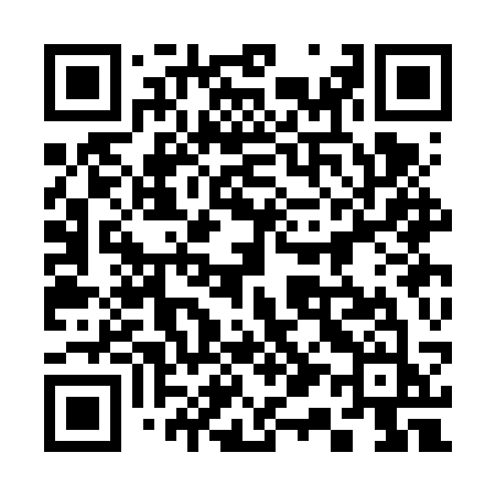 QR code for 313FSJ