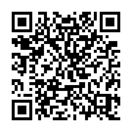 QR code for 313GFS