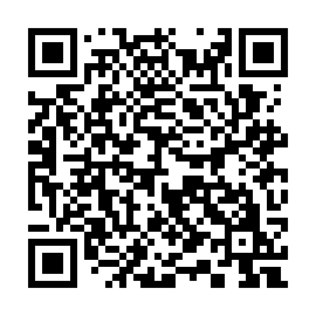QR code for 313GKO
