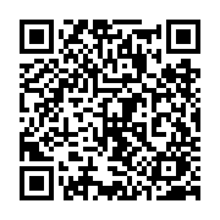 QR code for 313GOO