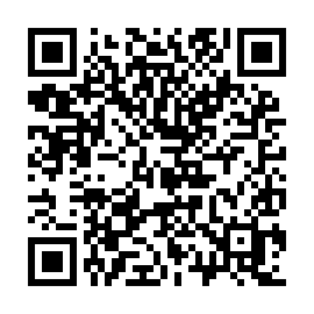 QR code for 313IIH
