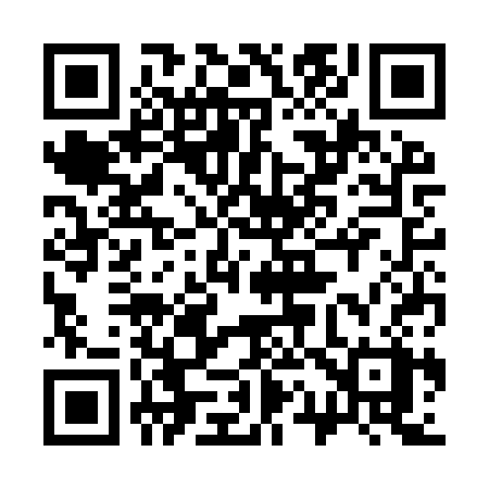 QR code for 313ISX