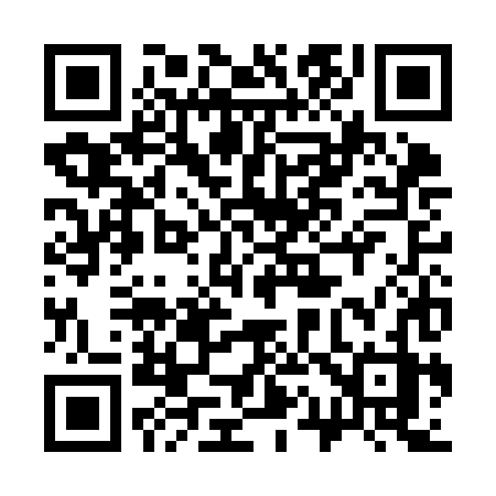 QR code for 313KHZ