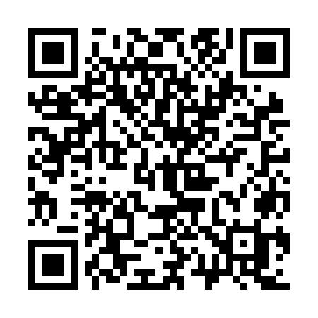 QR code for 313NOI