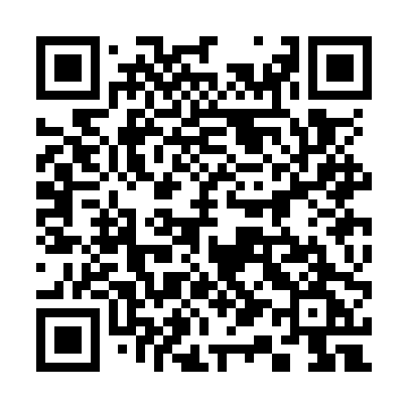QR code for 313OPG